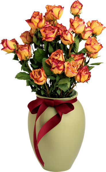 Scraps Mix.... - Página 33 Vase_with_Orange_Roses_PNG_Picture