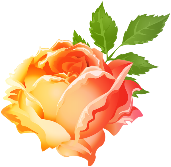 This png image - Yellow Orange Rose PNG Clip Art Image, is available for free download