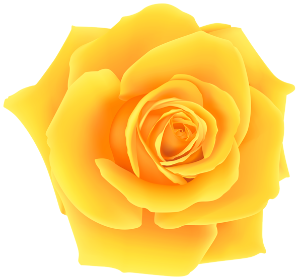 clipart of yellow roses - photo #8