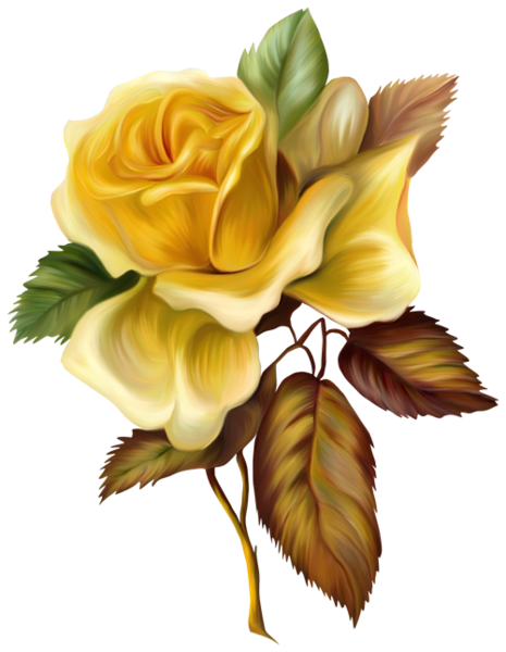 clipart of yellow roses - photo #18