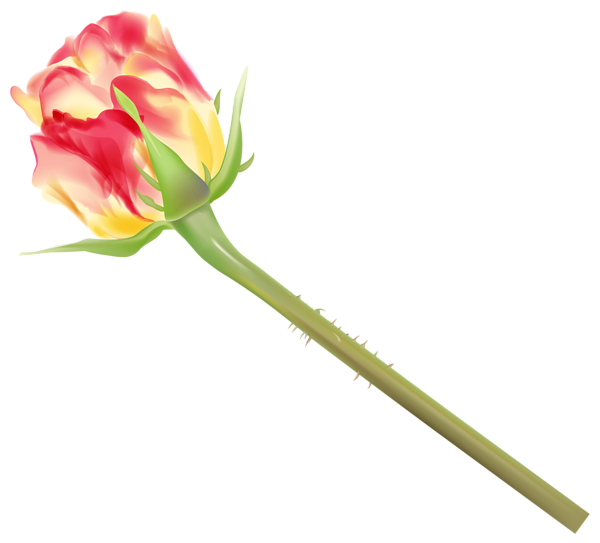This png image - Yellow and Red Rose Bud PNG Clipart Image, is available for free download