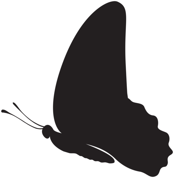 This png image - Butterfly Silhouette Clip Art PNG Image, is available for free download