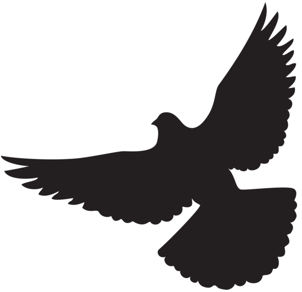 This png image - Dove Silhouette PNG Clip Art, is available for free download
