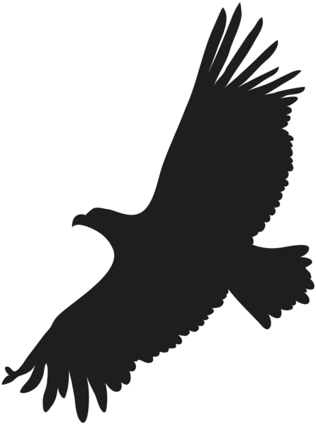 This png image - Flying Eagle PNG Clip Art Image, is available for free download