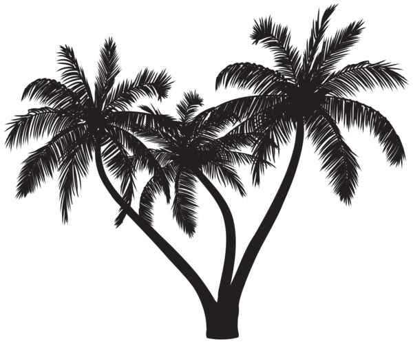 This png image - Palms Silhouette PNG Clipar, is available for free download