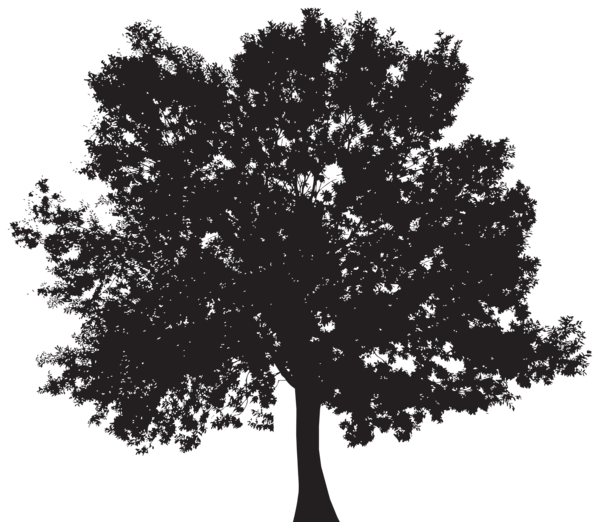 clip art tree silhouette - photo #31