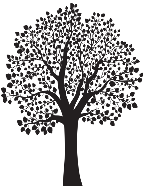 This png image - Tree Silhouette PNG Clip Art Image, is available for free download