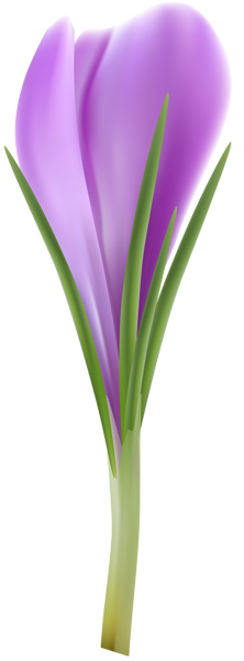 This png image - Crocus Clip Art PNG Image, is available for free download