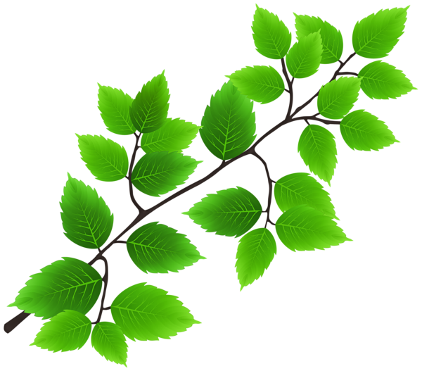 This png image - Green Branch PNG Transparent Clipart, is available for free download
