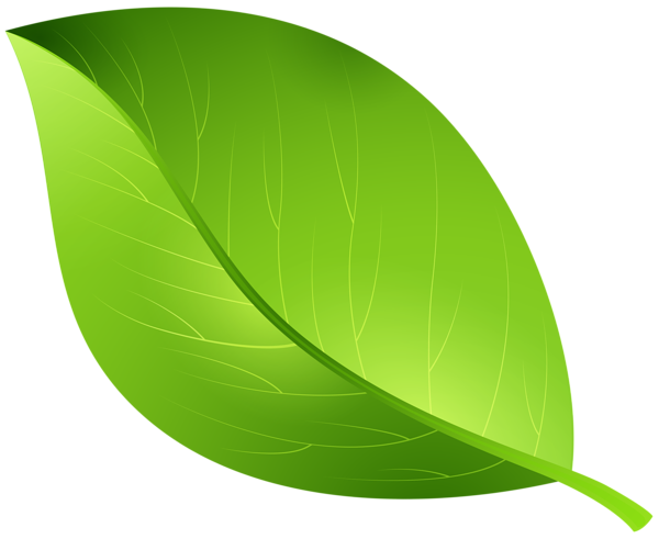 green leaf transparent png clip art image gallery 3 christmas tree