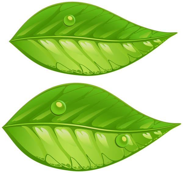 This png image - Green Leaves PNG Transparent Clip Art Image, is available for free download