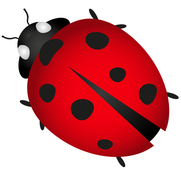 This png image - Lady Bug Transparent PNG Clip Art Image, is available for free download