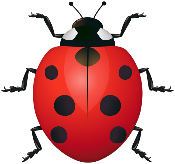 This png image - Ladybug Clipart Image, is available for free download