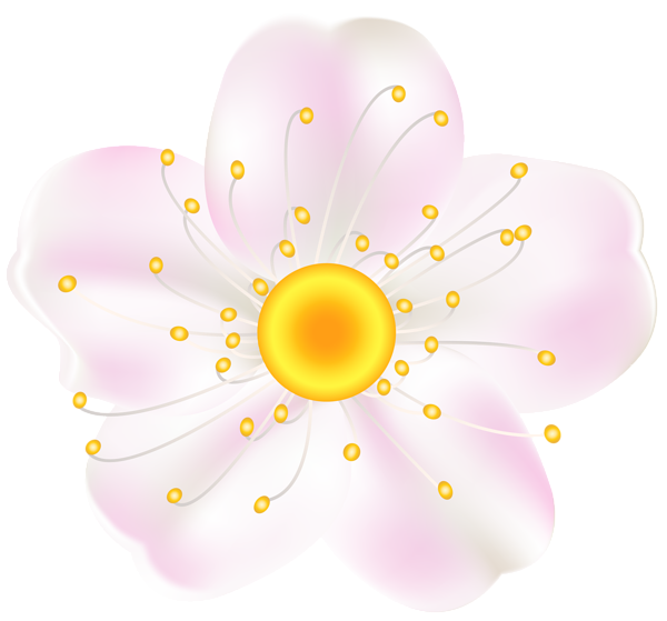 This png image - Pink Spring Flower PNG Clipart, is available for free download