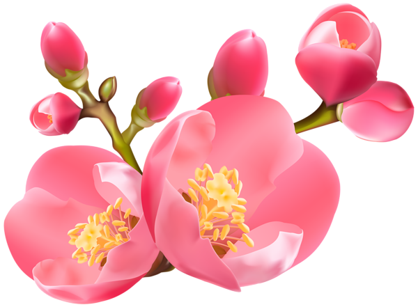 spring clipart png - photo #15