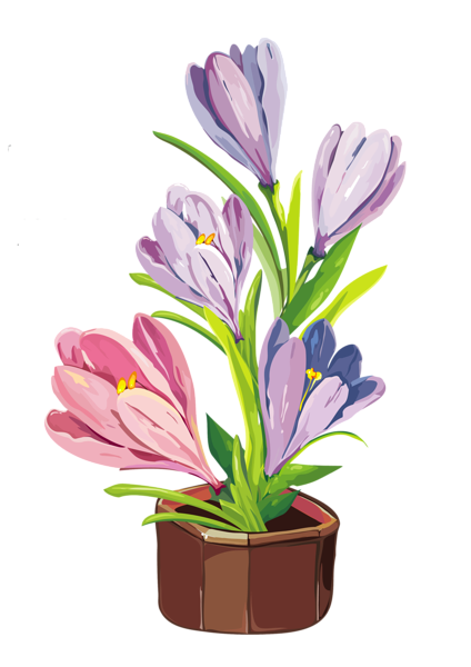 This png image - Spring Crocus Pot PNG Clipart, is available for free download