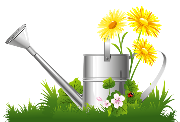 This png image - Spring Decoration with Water Can Grass and Flowers PNG Clipart, is available for free download