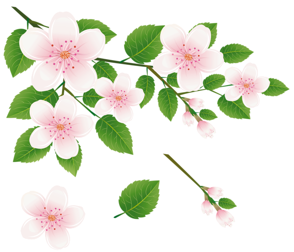 This png image - Spring Tree Branch with Flowers PNG Clipart Picture, is available for free download