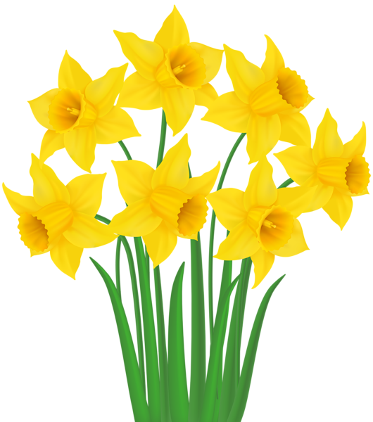 clipart daffodils images - photo #39