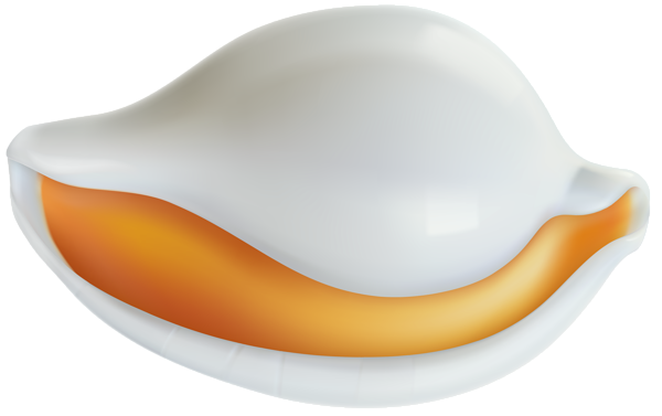 This png image - Clam PNG Clip Art Image, is available for free download
