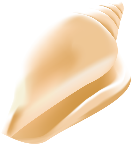 This png image - Conch Shell PNG Clip Art Image, is available for free download