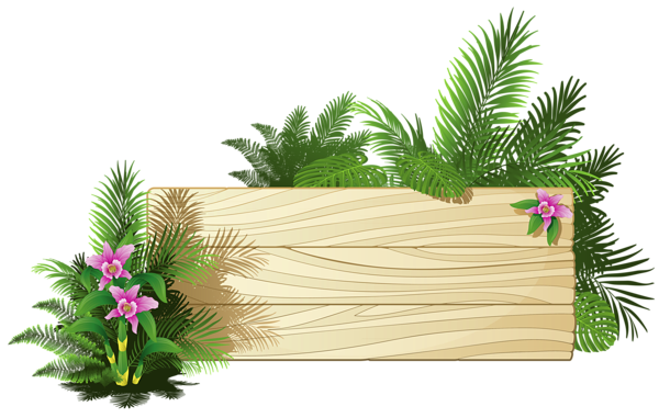 This png image - Exotic Board PNG Clipart, is available for free download