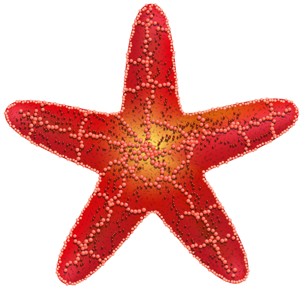 This png image - Red Starfish PNG Clip Art Image, is available for free download