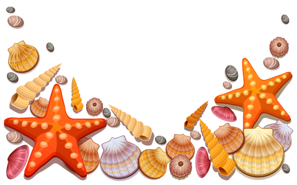 This png image - Sea Shells Decor PNG Vector Clipart, is available for free download