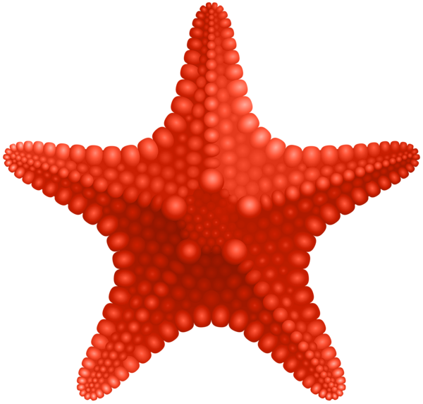 This png image - Starfish PNG Clip Art Image, is available for free download
