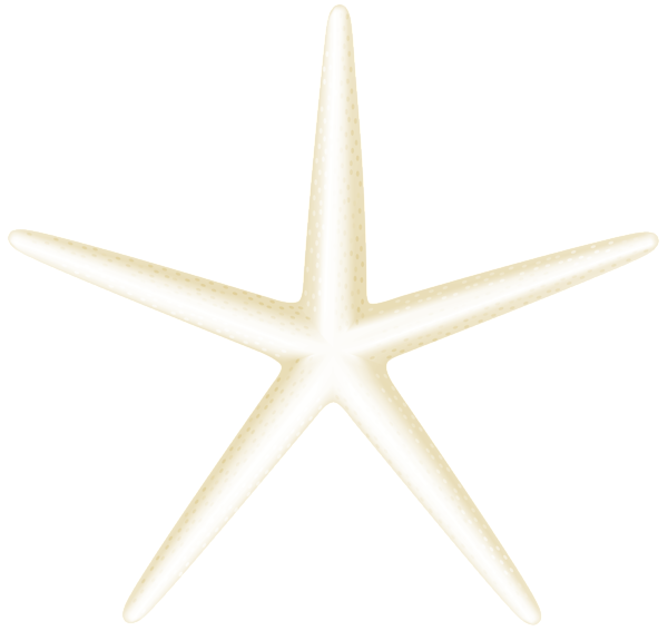 This png image - Starfish Transparent Clip Art PNG Image, is available for free download