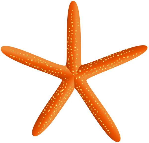 This png image - Starfish Transparent PNG Clip Art Image, is available for free download