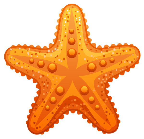 This png image - Transparent Starfish PNG Clipart Image, is available for free download