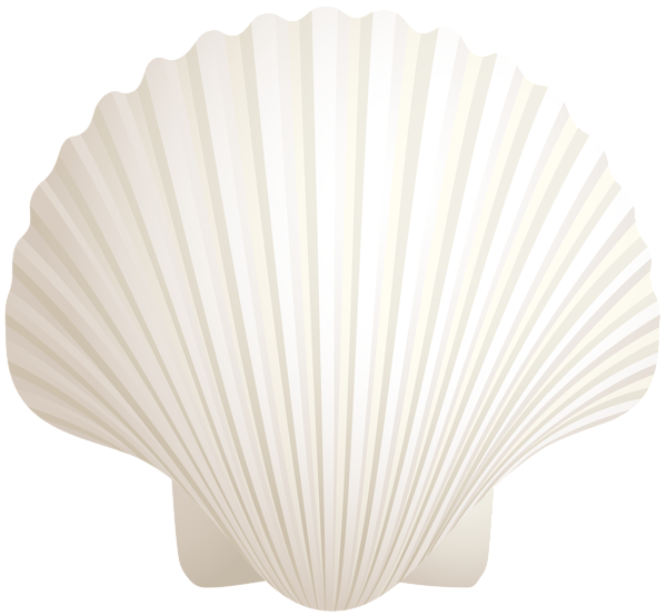 This png image - White Seashell PNG Clip Art Image, is available for free download