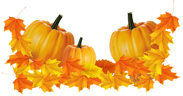 Decorating Ideas > Transparent Thanksgiving Pumpkin Decor Clipart Gallery ~ 065415_Thanksgiving Decorations Clipart Decorating Ideas > Transparent Thanksgiving Pumpkin Decor Clipart Gallery ~ 065415_Thanksgiving Decorations Clipart