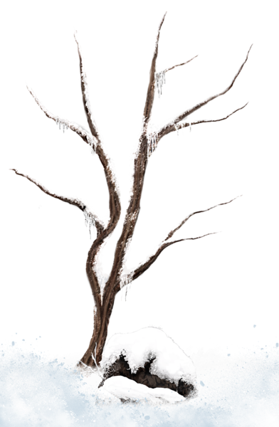 This png image - Brown Winter Snowy Tree PNG Clipart Picture, is available for free download
