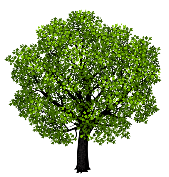 This png image - Green Maple Tree PNG Clipart Picture, is available for free download