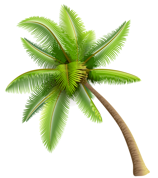 Green Palm Tree PNG Clipart | Gallery Yopriceville - High-Quality