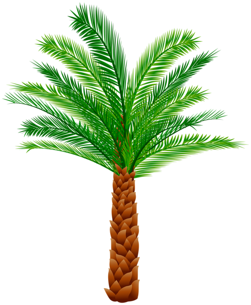 palm springs clipart - photo #9