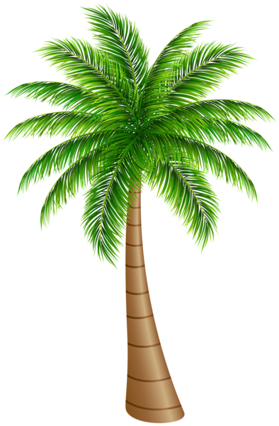 This png image - Palm Tree Large PNG Clip Art Image, is available for free download
