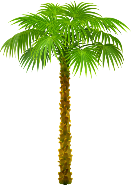 palm tree clip art transparent background - photo #21