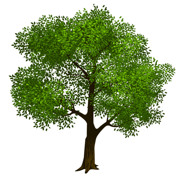 Transparent Green Tree Clipart Picture | Gallery Yopriceville - High