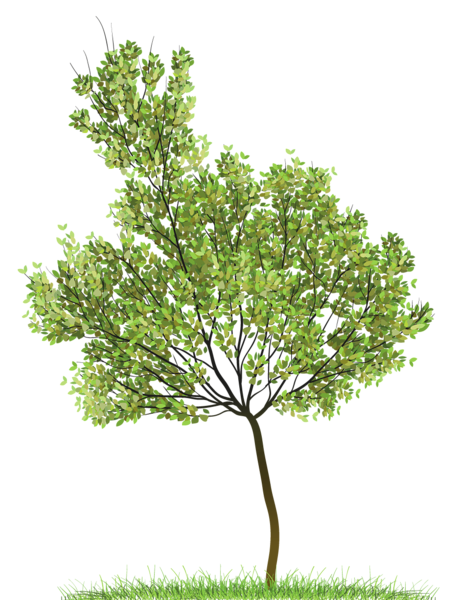 png clipart tree - photo #18