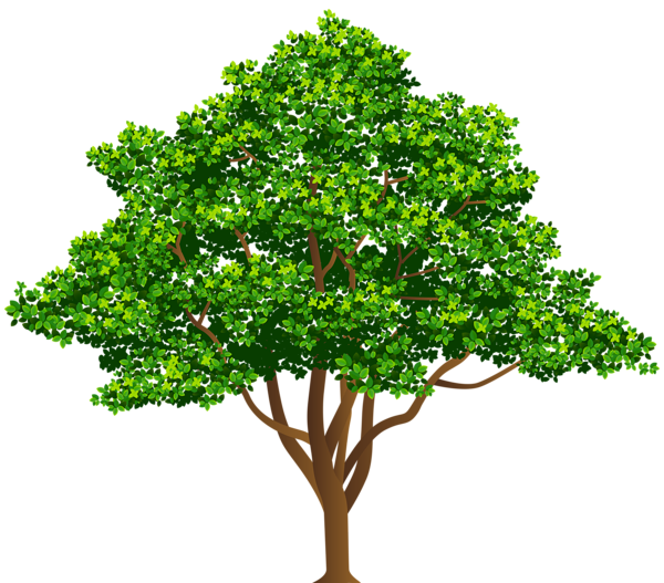This png image - Tree Free PNG Clip Art Image, is available for free download