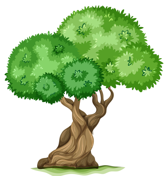 png clipart tree - photo #11