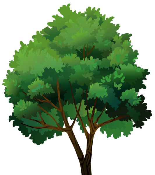 This png image - Tree Transparent PNG Clip Art Image, is available for free download