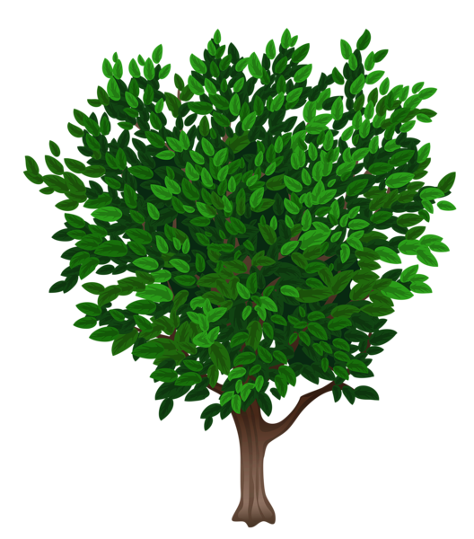 png clipart tree - photo #6