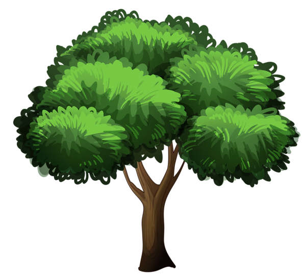 This png image - Tree Transparent Picture, is available for free download