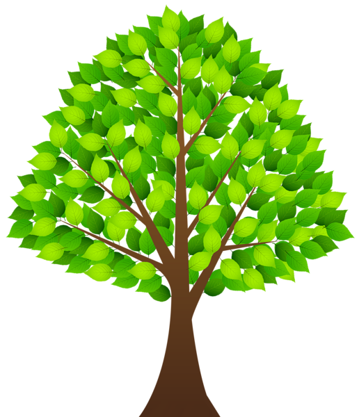 This png image - Tree with Green Leaves Transparent PNG Clip Art Image, is available for free download