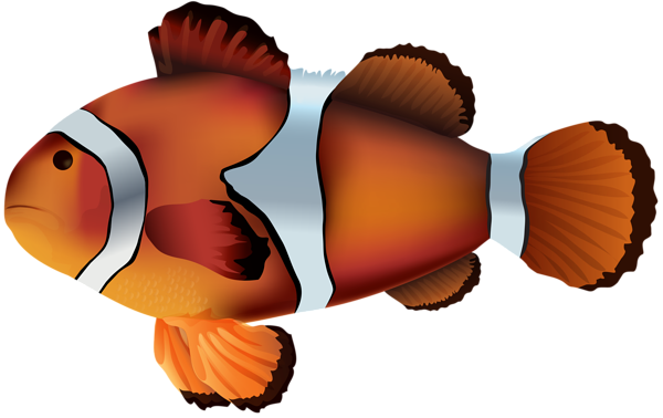 clip art of clown fish - photo #32