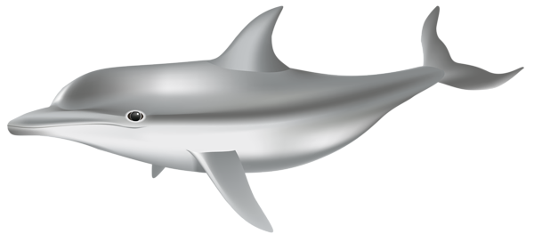 This png image - Dolphin PNG Transparent Clip Art Image, is available for free download